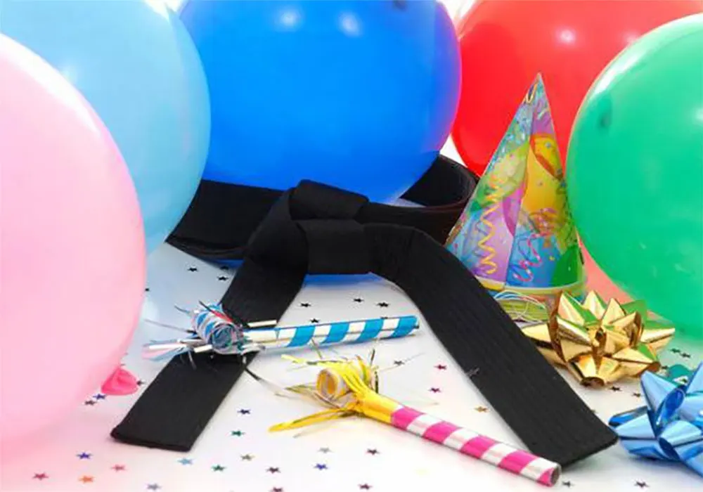 martial arts bithday parties aurora